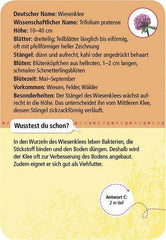 50 Heimische Blumen Moses