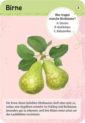 50 heimische Garten- & Feldpflanzen Moses