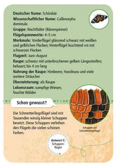 50 Heimische Schmetterlinge Moses