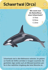 50 Meerestiere Moses