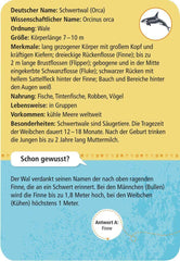 50 Meerestiere Moses