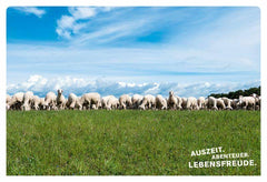 52 kleine & große Eskapaden in und um München DuMont Reiseverlag