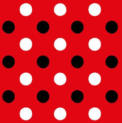 Babys erstes Kontrastbuch (0-6 Monate)