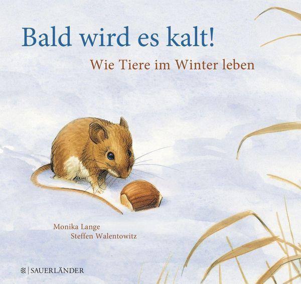 Bald wird es kalt! Sauerländer Verlag