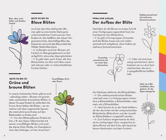 Basic Alpenblumen - 9783440173992 Franckh-Kosmos Verlag