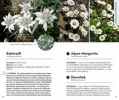 Basic Alpenblumen - 9783440173992 Franckh-Kosmos Verlag
