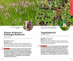 BASIC Blumen Franckh-Kosmos Verlag
