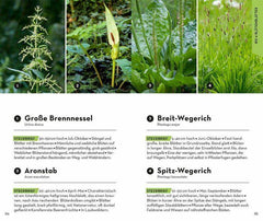 BASIC Blumen Franckh-Kosmos Verlag