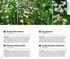 BASIC Blumen Franckh-Kosmos Verlag