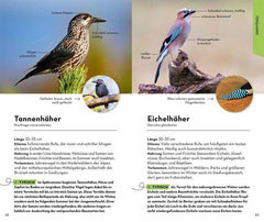 BASIC Gartenvögel Franckh-Kosmos Verlag