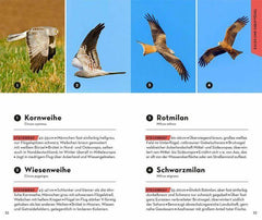 BASIC Vögel Franckh-Kosmos Verlag