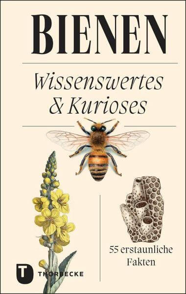 Bienen Thorbecke Verlag