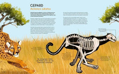 Bones - Knochen und Skelette in der Tierwelt - 9783734860850 Magellan