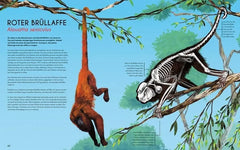 Bones - Knochen und Skelette in der Tierwelt - 9783734860850 Magellan