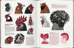 Das große Buch der Hühner - 9783836963312 Gerstenberg Verlag