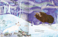 Das Nordlichtwunder ars edition