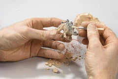 Der Dino aus dem Ei - 40127 Moses