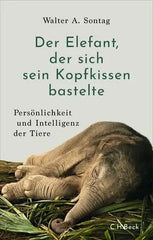 der-elefant-der-sich-sein-kopfkissen-bastelte-kunstundspiel-1 - kunstundspiel