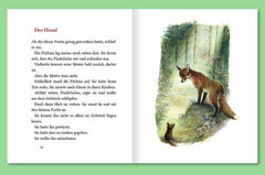 Der Findefuchs (gebundene Ausgabe) DTV