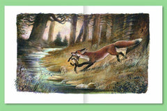 Der Findefuchs (gebundene Ausgabe) DTV