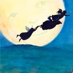 Die kleine Elfe wünscht sich was Urachhaus Verlag