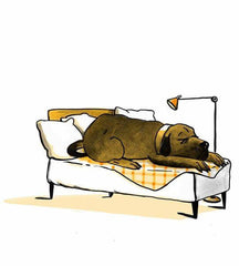 Die letzten Ninjas auf der Achterbahn Urachhaus Verlag