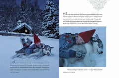 Ein wunderbares Weihnachtsfest Sauerländer Verlag