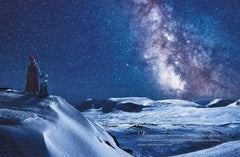 Ein wunderbares Weihnachtsfest Sauerländer Verlag