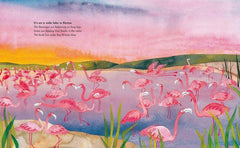 Eine Welt, viele Farben Midas Verlag