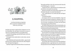 Enia und der Regenzauber Oetinger Verlag