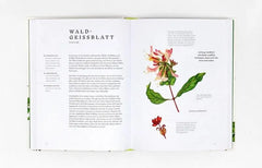 Essbare Wildpflanzen - erkennen, sammeln und zubereiten- - 9783962441753 Laurence King Verlag