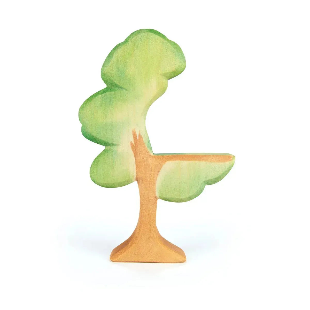 Eukalyptus Baum - 91372246 Ostheimer