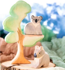 Eukalyptus Baum - 91372246 Ostheimer