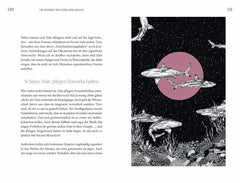 Faszination Haie - Wächter der Meere - 9783701183159 Leykam