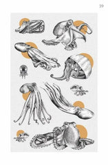 Faszination Krake - Wesen einer unbekannten Welt - 9783701182022 Leykam