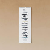 Geburtstagskalender - Wale tucán y limón