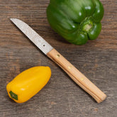 Gemüsemesser Buche Friedrich Herder