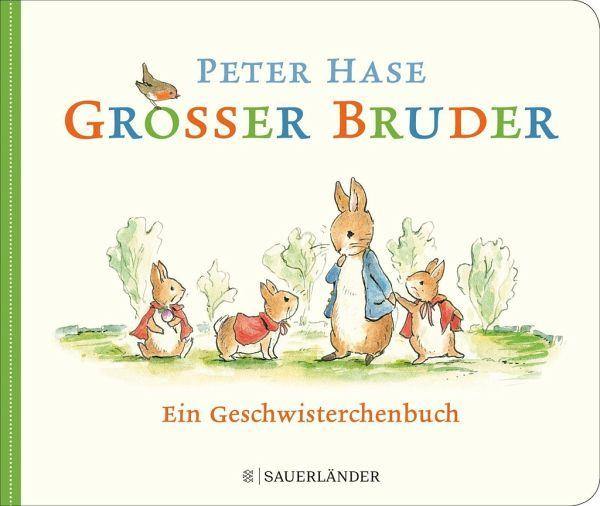 Großer Bruder Peter Hase Sauerländer Verlag