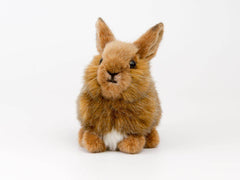 Häschen Hoppel graubraun Kösen