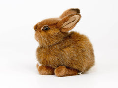 Häschen Hoppel graubraun Kösen