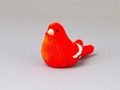 Kanarienvogel rot Kösen