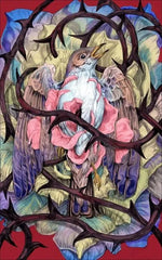 Märchen - 9783458645429 Insel Verlag