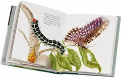 Maria Sibylla Merians Schmetterlinge - 9783836921268 Gerstenberg Verlag