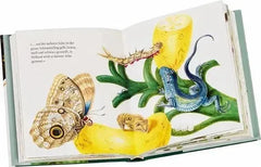 Maria Sibylla Merians Schmetterlinge - 9783836921268 Gerstenberg Verlag