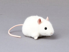 Maus Pieps weiß Kösen