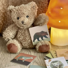 Memo-Spiel Wald mit 48 Karten