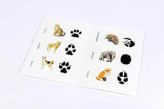 Memo Wilden Tieren auf der Spur Laurence King Spiele