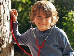 Mit dem Stethoskop die Natur belauschen Kraul