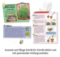 Mitbring Experiment: Mimosengarten Kosmos Spieleverlag