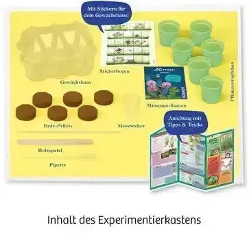Mitbring Experiment: Mimosengarten Kosmos Spieleverlag